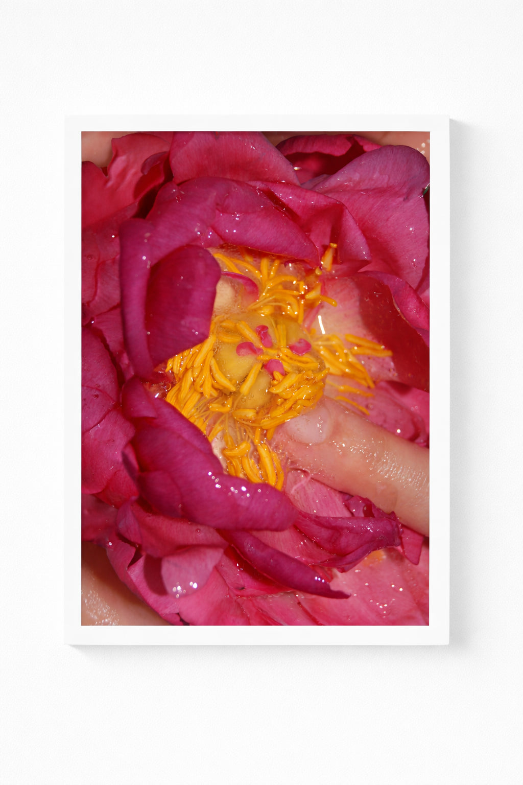 Wet Peony Print