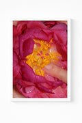 Wet Peony Print